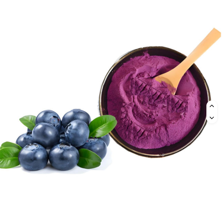 Excellent quality organic fresh Blueberry fruit juice concentrated powder Purple-blue powder used in the food and beverage industries