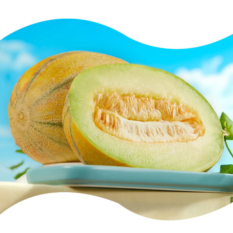 BAISFU  Large Supply  Food Grade Hami Melon Flavor for Food Additive