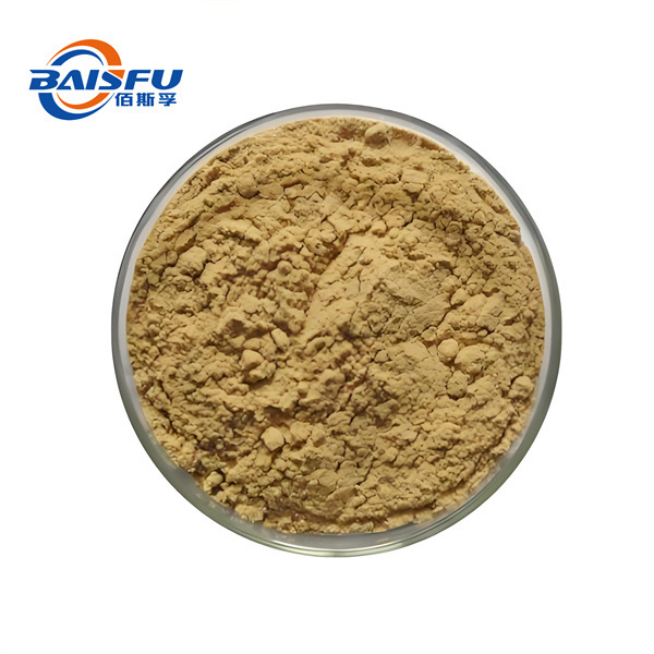 Premium Sage Extract Powder | Natural Antioxidant & Memory Support | For Dietary Supplements, Functional Food & Cosmetics