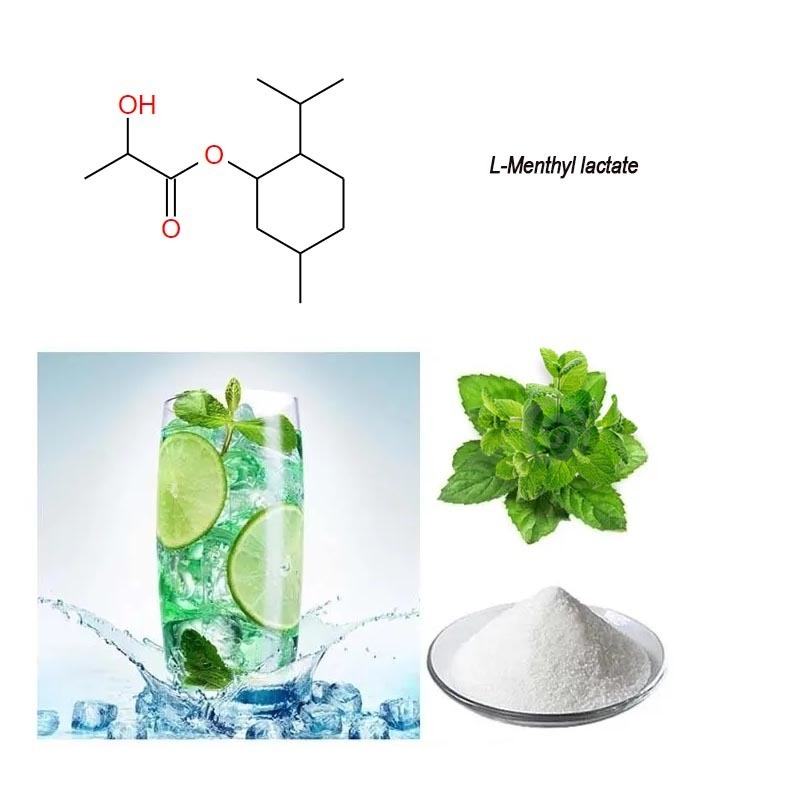 L-Menthyl Lactate CAS 59259-38-0 For Cosmetics, Sunscreen, Lotion - Cooling Agent