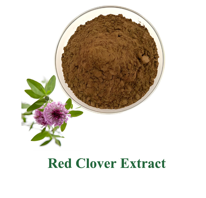 Baisfu Red Clover Extract, Brownish-yellow powder