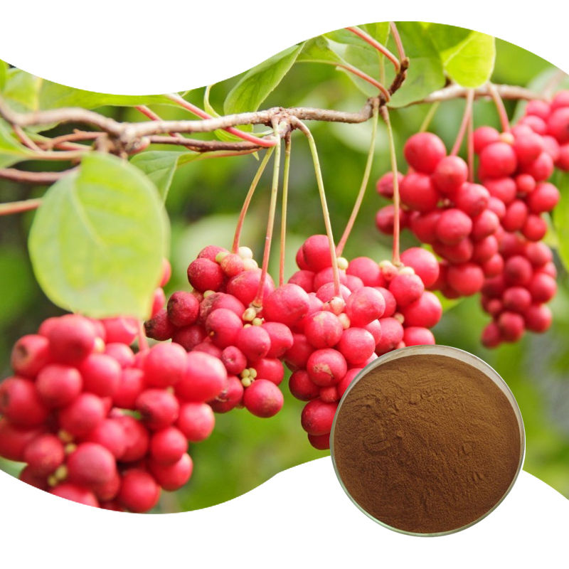 Baisfu Natural Schisandra chinensis.P.E CAS 7432-28-2 best Quality Brown Fine Powder Lignans For Functional Food and cosmetic