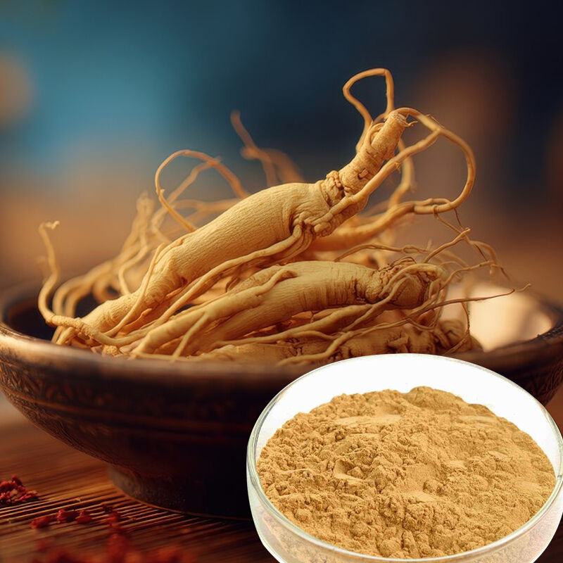 Baisfu Factory Sales Ginseng Extract Water-Soluble Light Yellow Fine Powder Ginsenosides for Health Supplements and Functional Foods