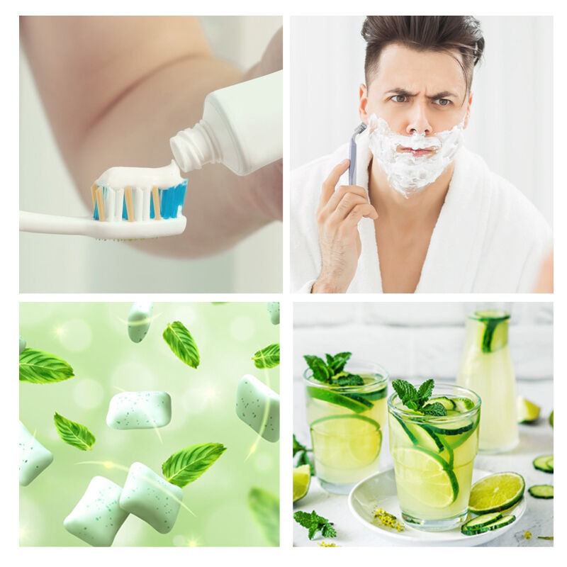 WS-23 (CAS 51115-67-4): High-Purity Cooling Agent For Food, Pharma & Flavors