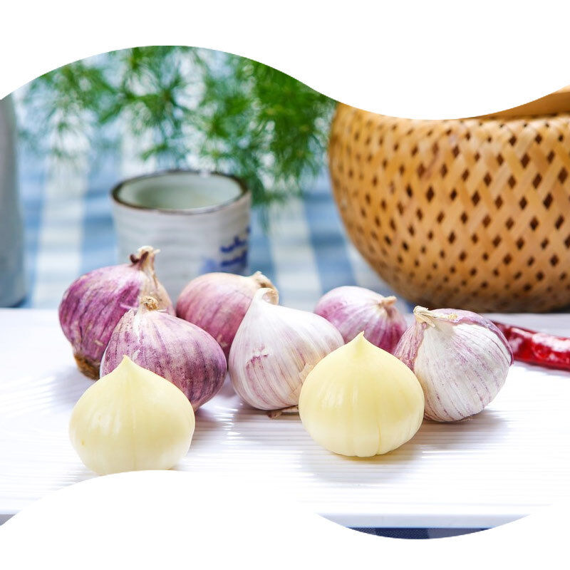 Salty Flavor Natural Garlic Powder Food Grade Seasoning Suitable for Various Culinary and Food Production Uses