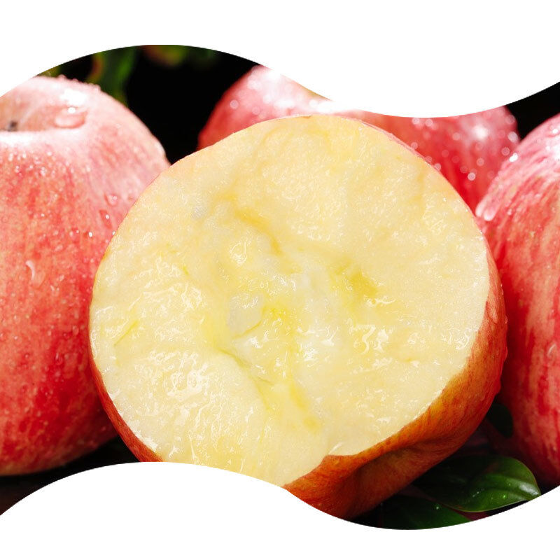 Premium Red Fuji Apple Flavor for Fresh Apple Juice Fruit Nectar and Vitamin C Rich Beverage
