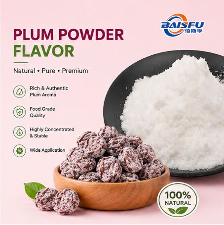 Premium Plum Powder Flavor for Sour Plum Snack Seasoning Potato Chip Coating and Popcorn Dusting