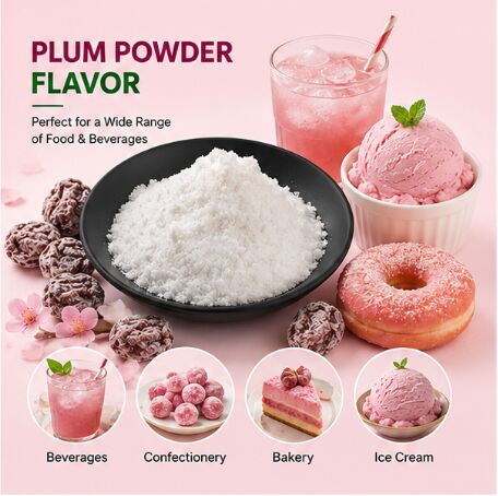 Premium Plum Powder Flavor for Sour Plum Snack Seasoning Potato Chip Coating and Popcorn Dusting