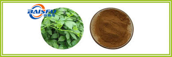 Shaanxi Baisfu plant extract Brown powder 98% Through 80 mesh Gynostemma Extract Food Grade