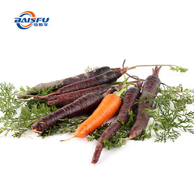 Natural Black Carrot Flavor | Enhanced with Natural Color | For Beverage, Confectionery & Healthy Foods